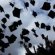 Jobs for Masters graduates