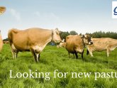 Executive jobs Scotland
