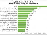 Graduate level jobs
