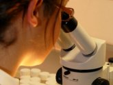 Graduate Recruitment Schemes