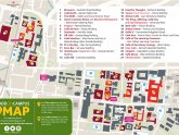 International Graduate Careers