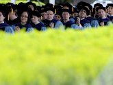 Job opportunities for it graduates
