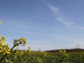 Rural jobs Scotland