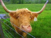 Summer Internships Scotland